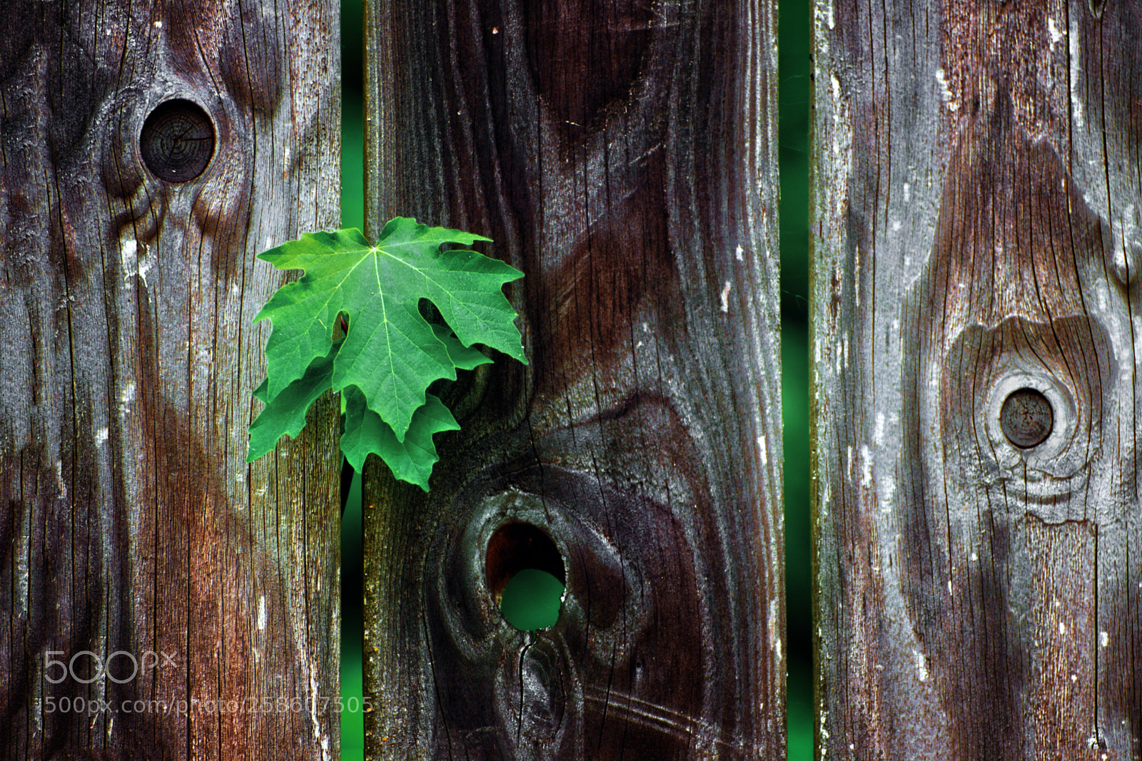 Nikon D7200 sample photo. Rural simplicity photography