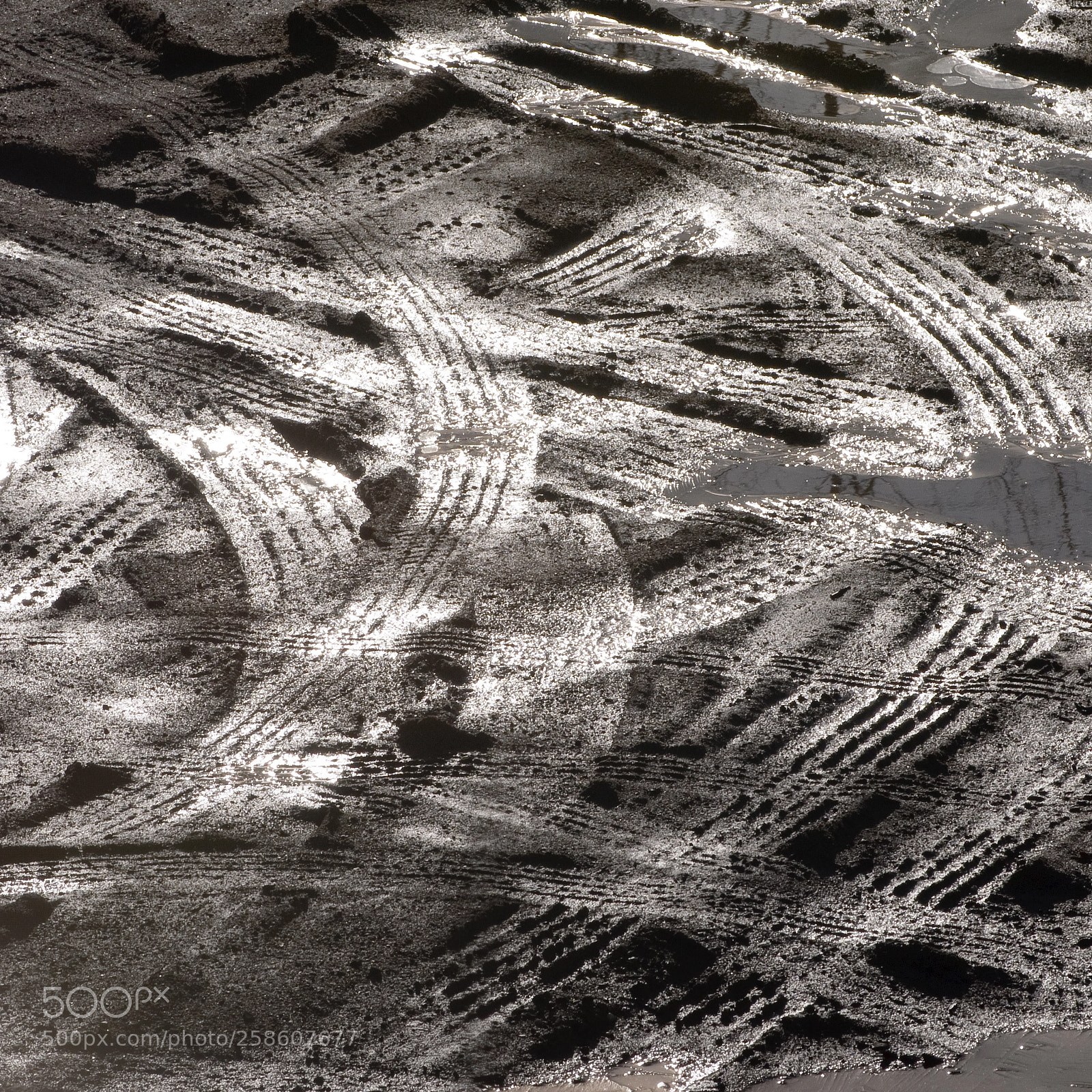 Nikon D300 sample photo. Composition of rubber in photography