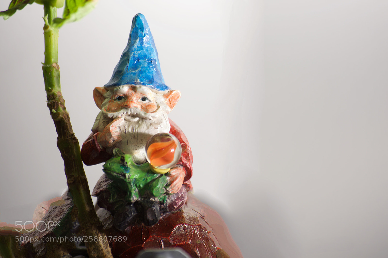 Nikon D7200 sample photo. Gnome photography