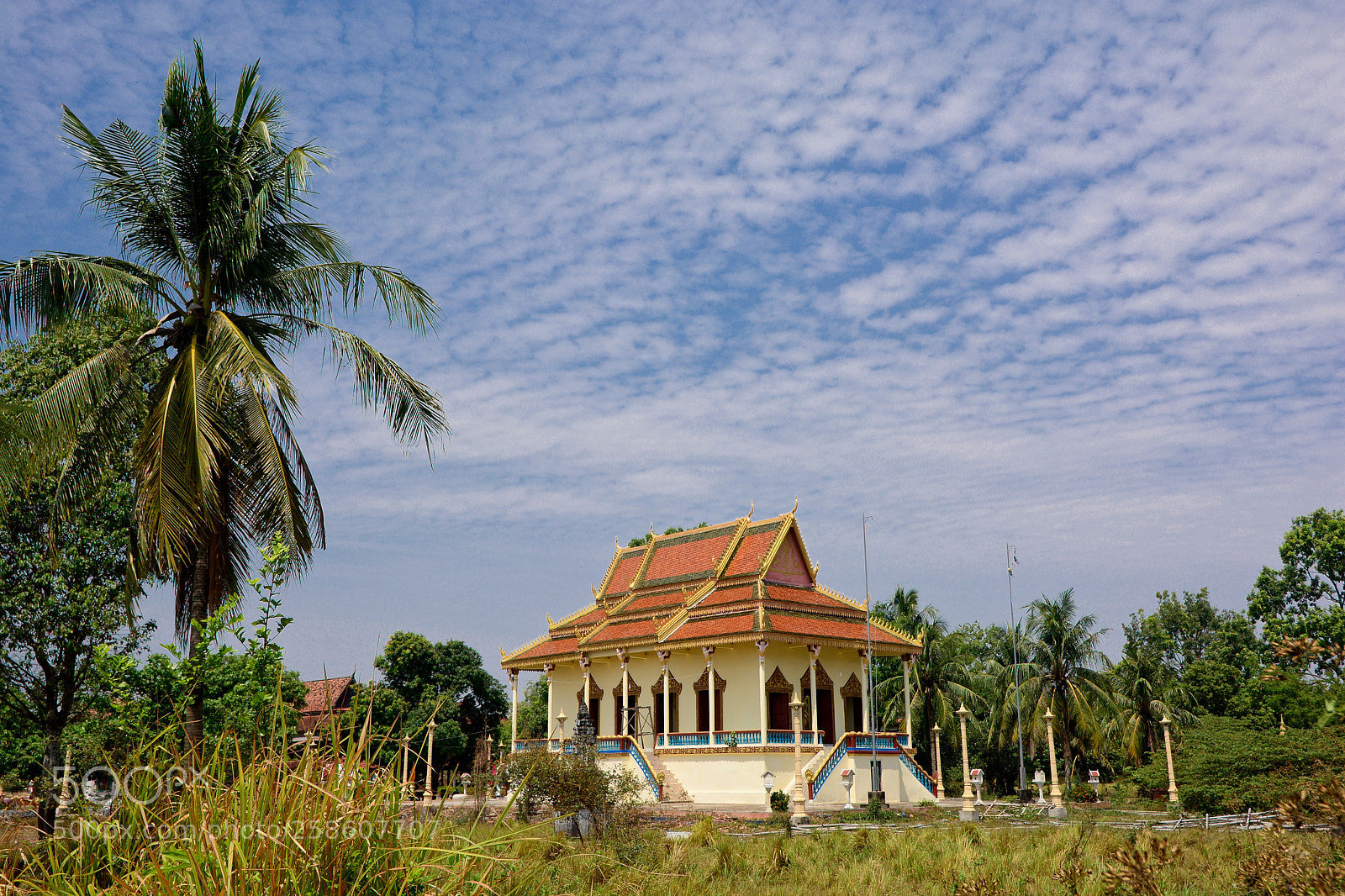 Nikon D5200 sample photo. Koh trong photography