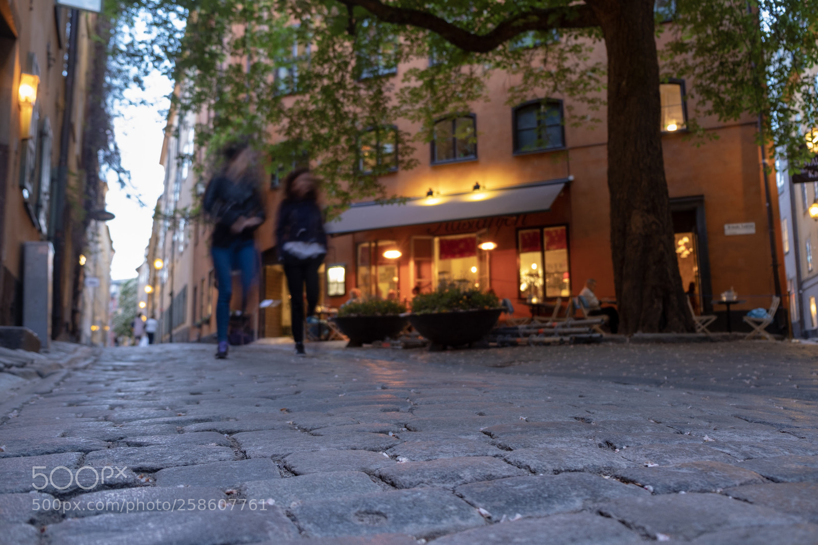 Fujifilm X-T20 sample photo. Untitled photography