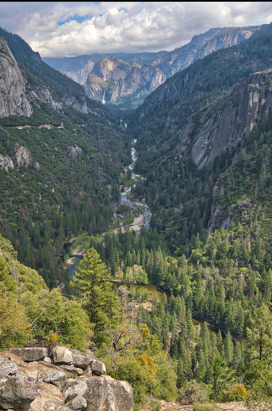 Sony a7R III sample photo. River view photography