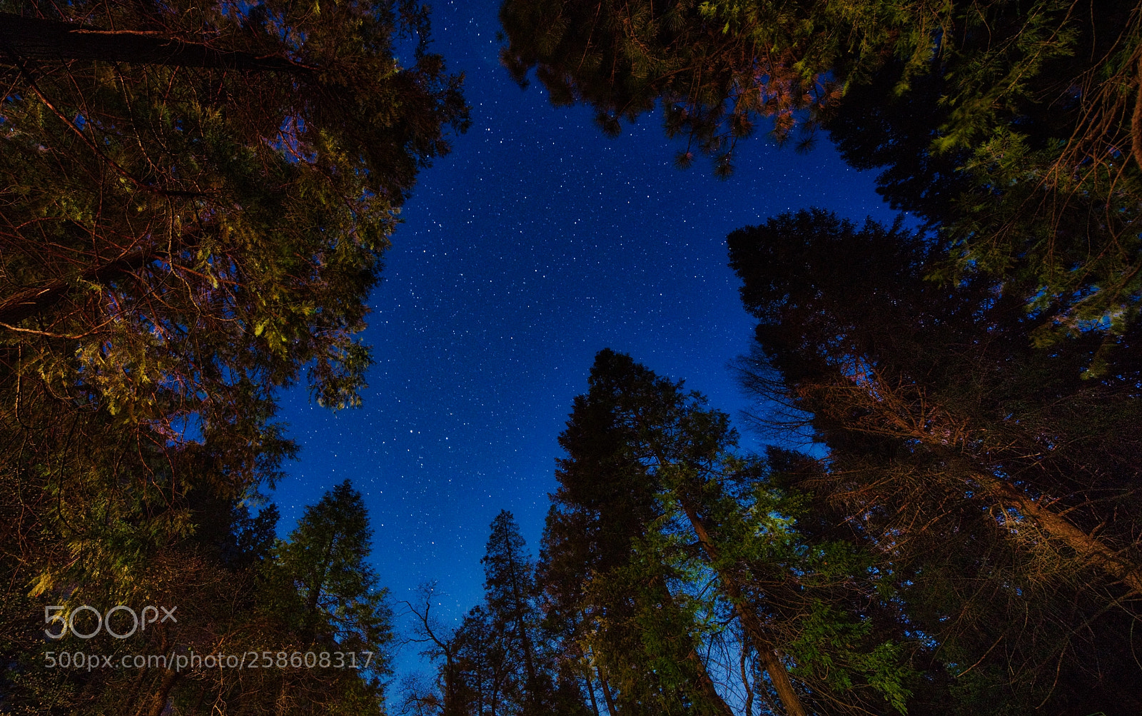 Sony a7R III sample photo. Yosemite stars photography