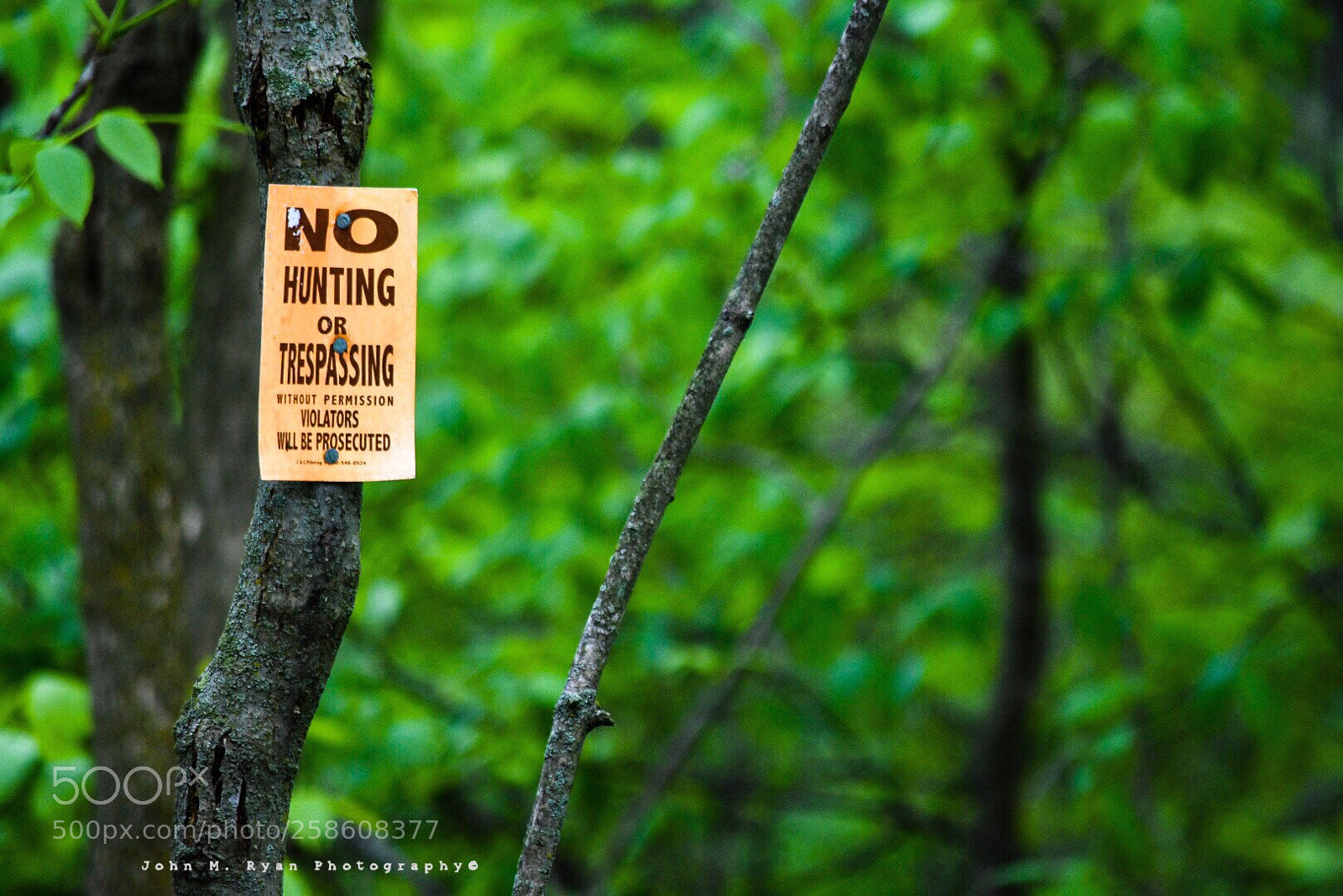Nikon D3400 sample photo. No trespassing  photography