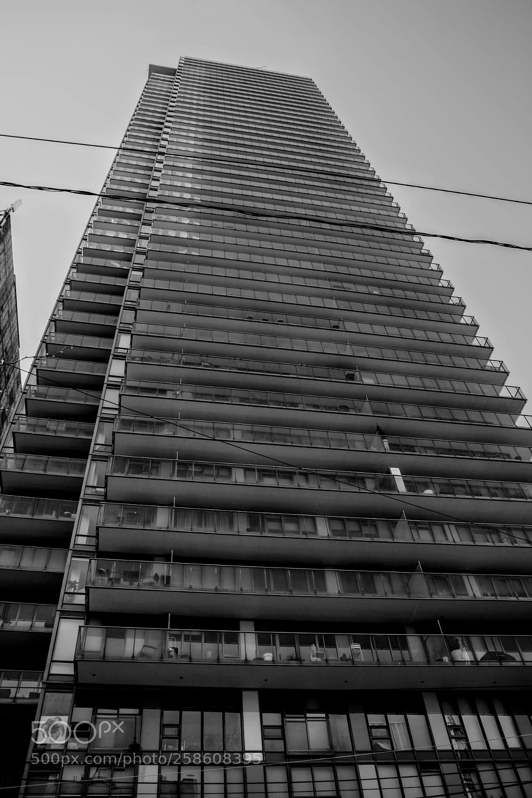 Canon EOS 1000D (EOS Digital Rebel XS / EOS Kiss F) sample photo. To the sky photography
