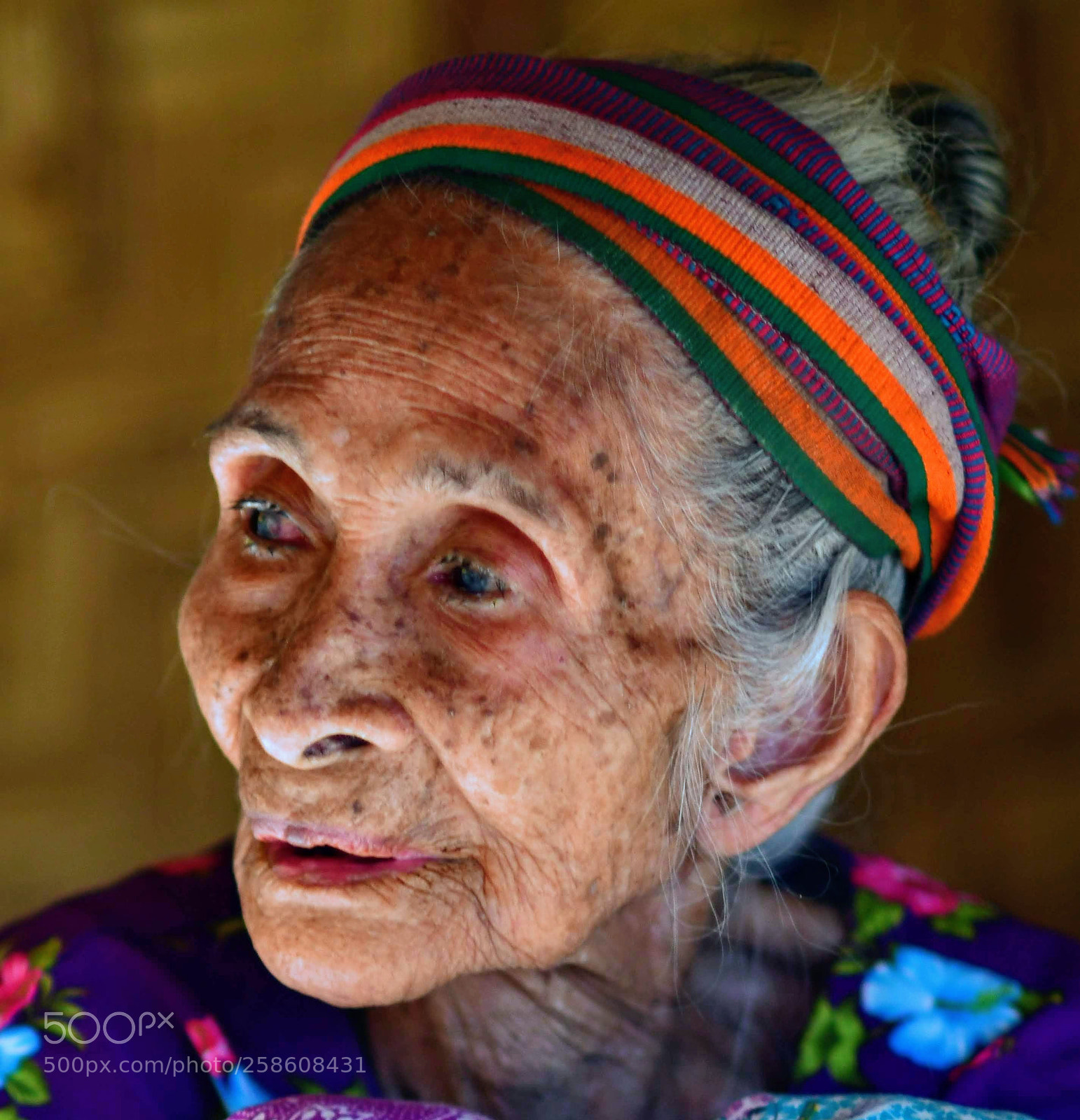 Nikon D500 sample photo. Grand old lady from photography