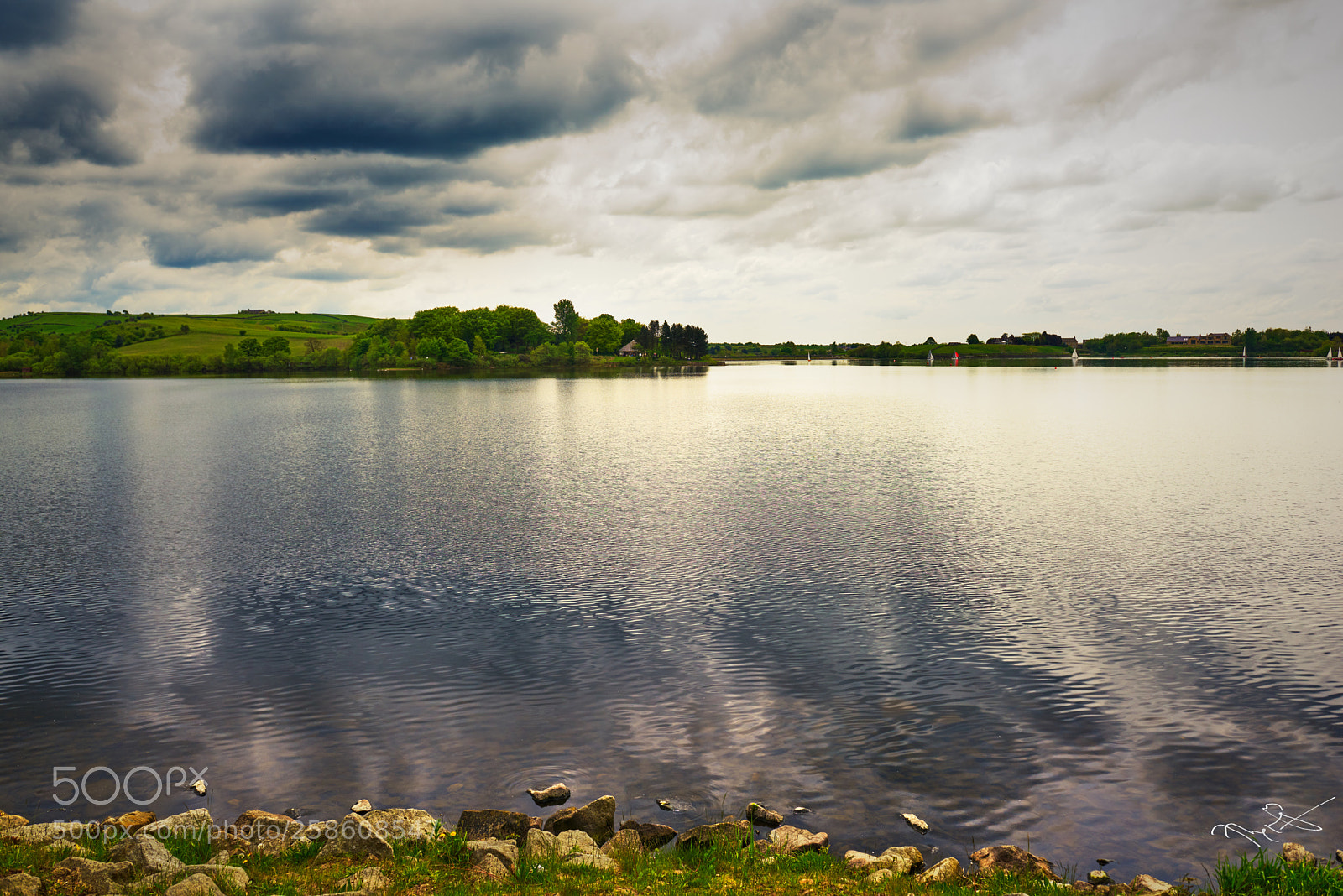 Nikon D810 sample photo. Silent photography