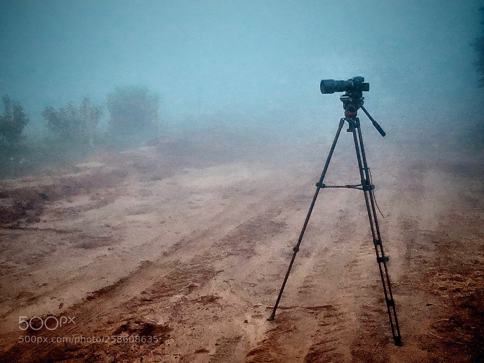Apple iPhone X sample photo. ...morning fog photography