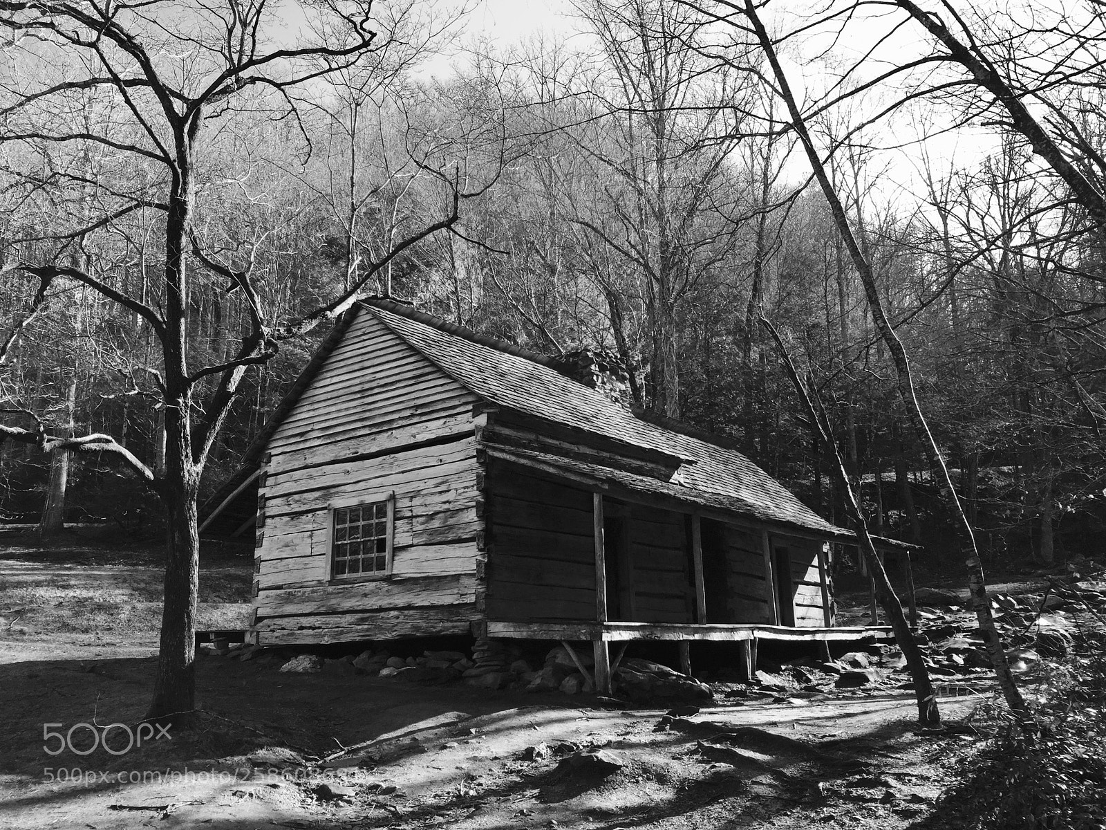 Apple iPhone 6 Plus sample photo. Noah bud ogle cabin photography