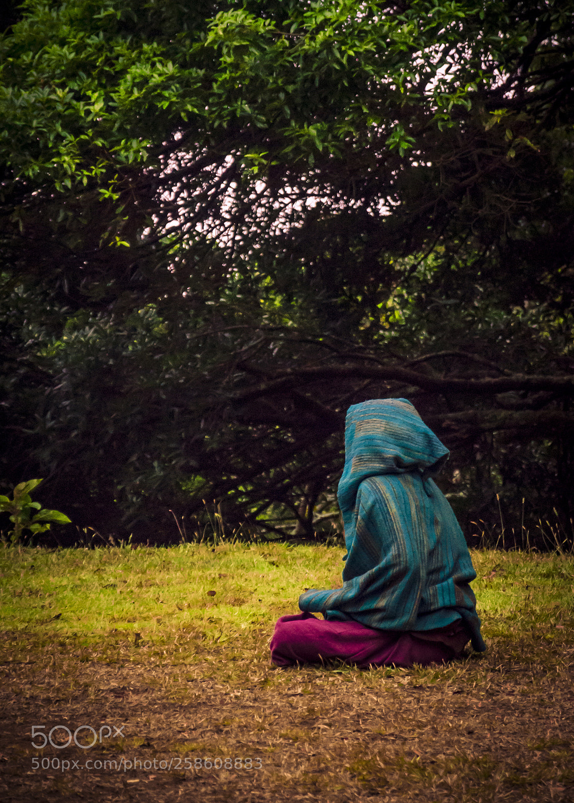 Nikon D5100 sample photo. Time for meditation photography