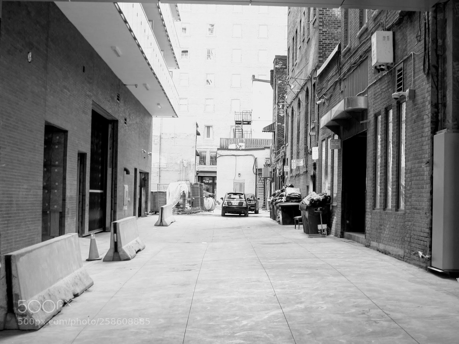 Canon EOS 1000D (EOS Digital Rebel XS / EOS Kiss F) sample photo. Alley in toronto  photography