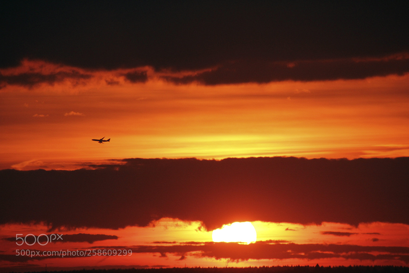Canon EOS 60D sample photo. Hope is the the photography