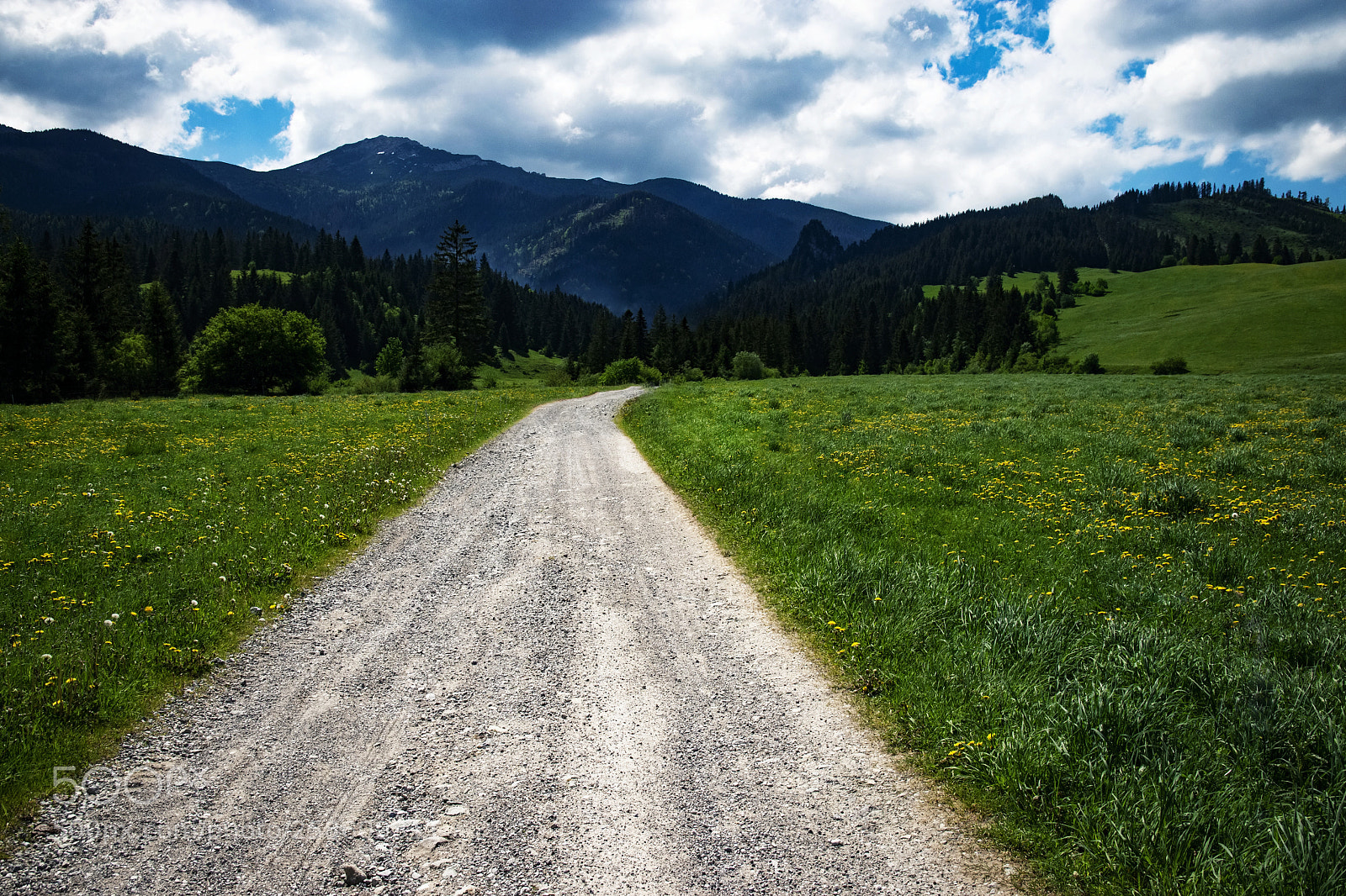 Nikon D5500 sample photo. A stone path through photography