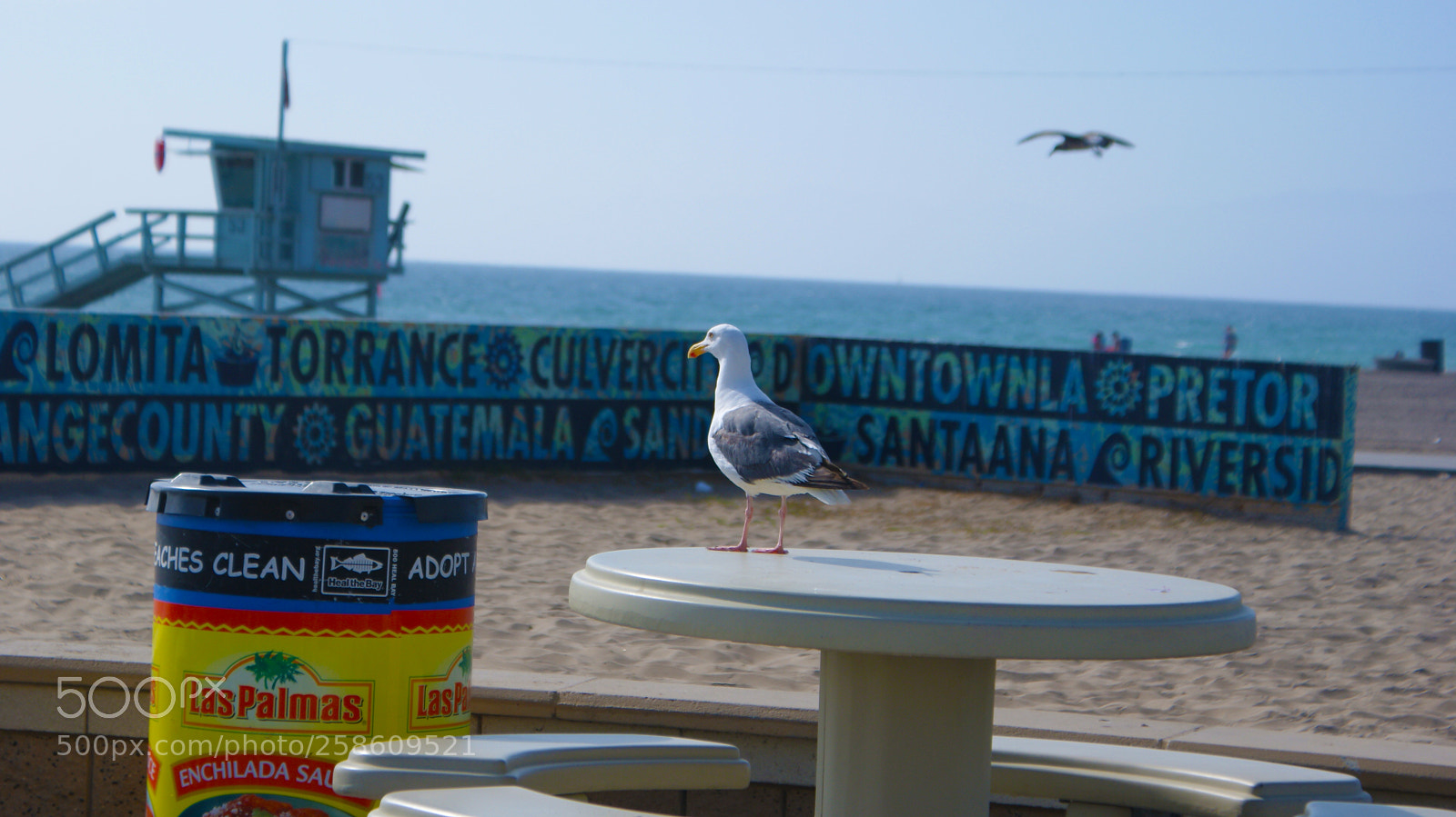 Sony Alpha DSLR-A200 sample photo. Los angeles beaches photography