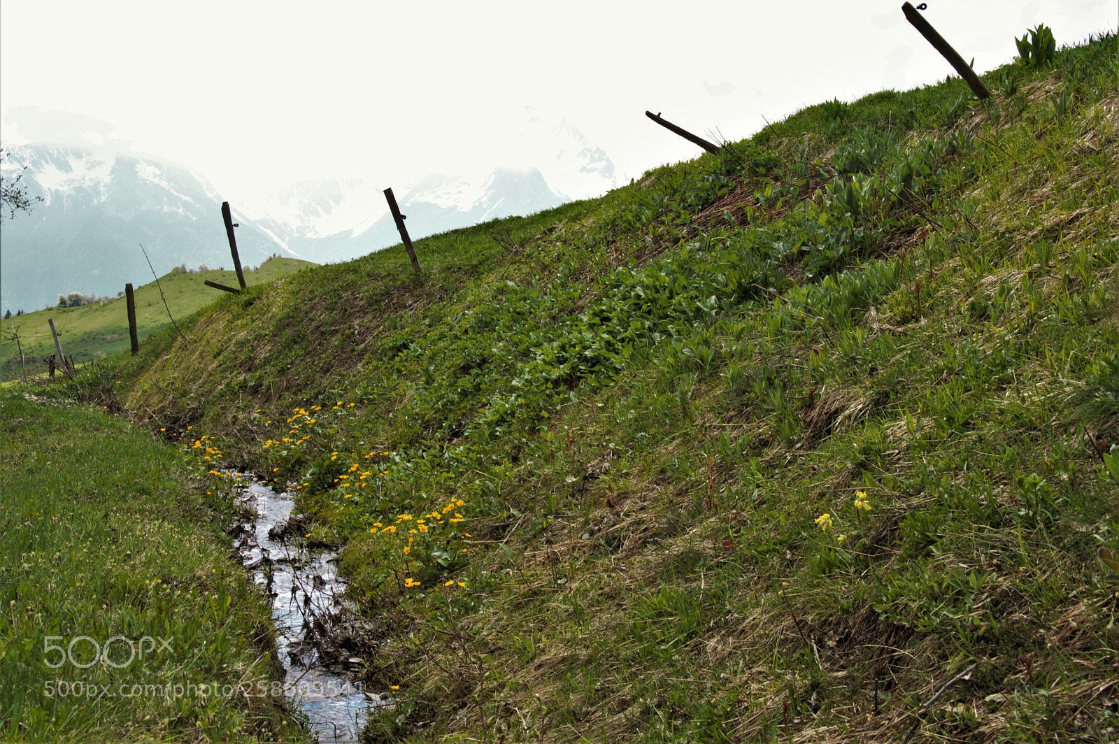 Nikon D3200 sample photo. Untitled photography