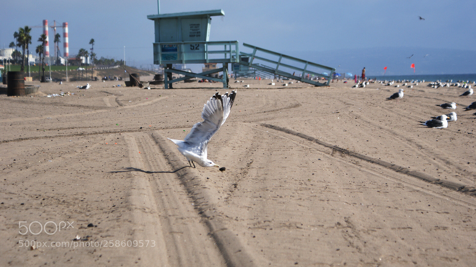Sony Alpha DSLR-A200 sample photo. Los angeles beaches photography