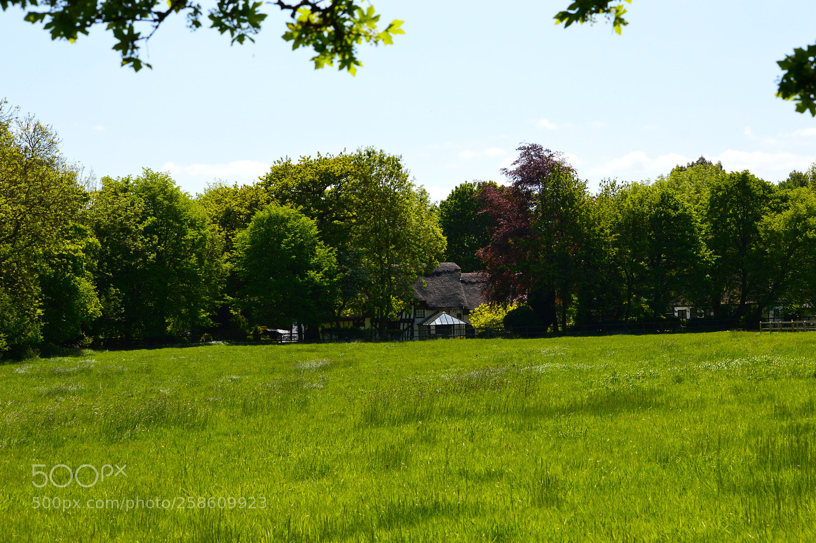 Nikon D3200 sample photo. Hertfordshire countryside photography