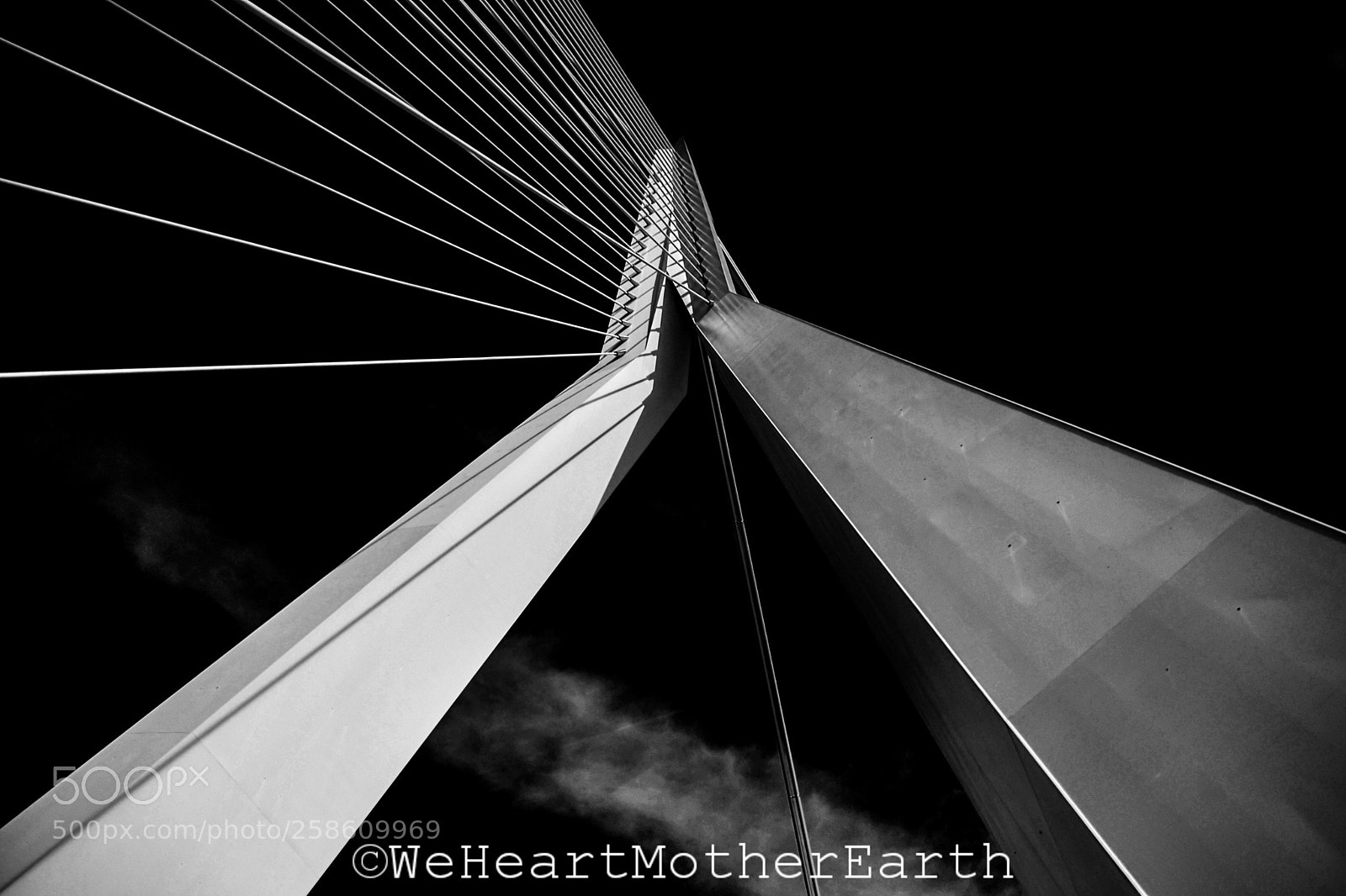 Nikon D500 sample photo. Putting others down is photography