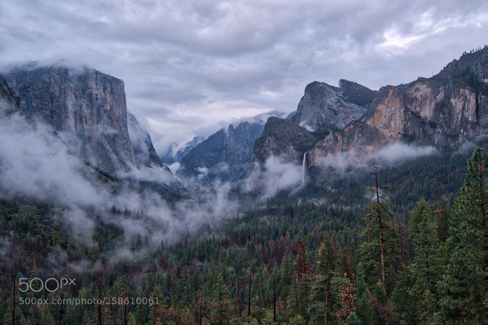 Sony a7R III sample photo. Tunnel view photography