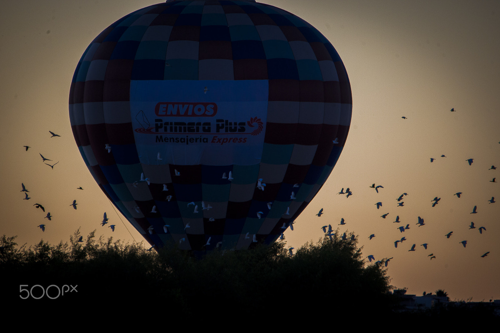 Canon EOS-1D Mark III sample photo. Hot air balloon photography