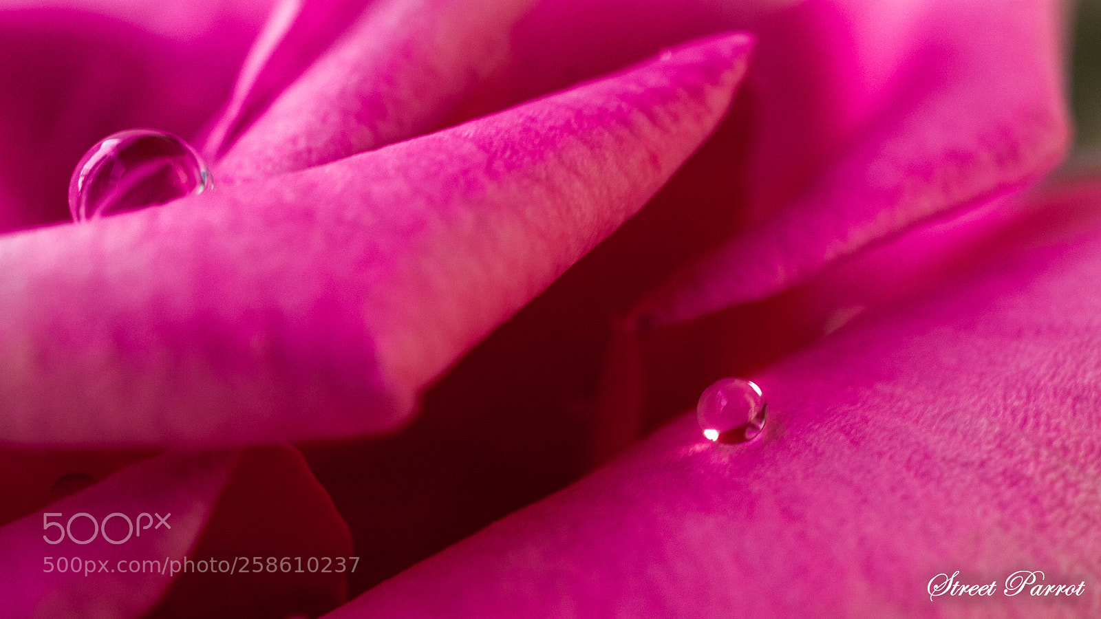 Pentax K10D sample photo. Water drop photography