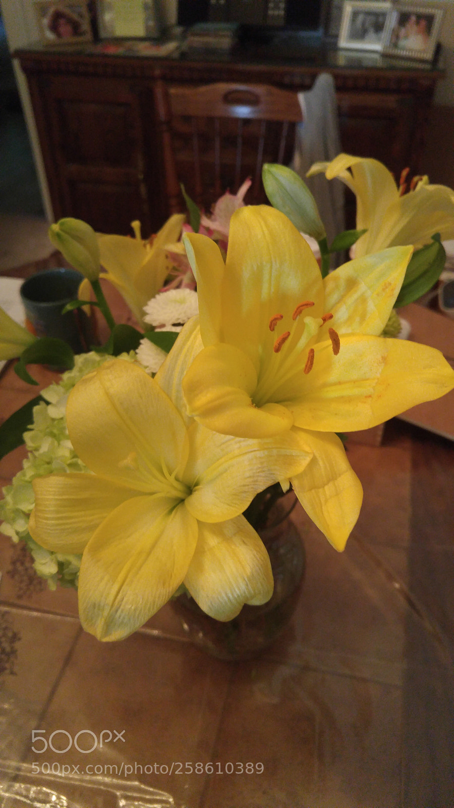 LG G4 sample photo. Lilli photography