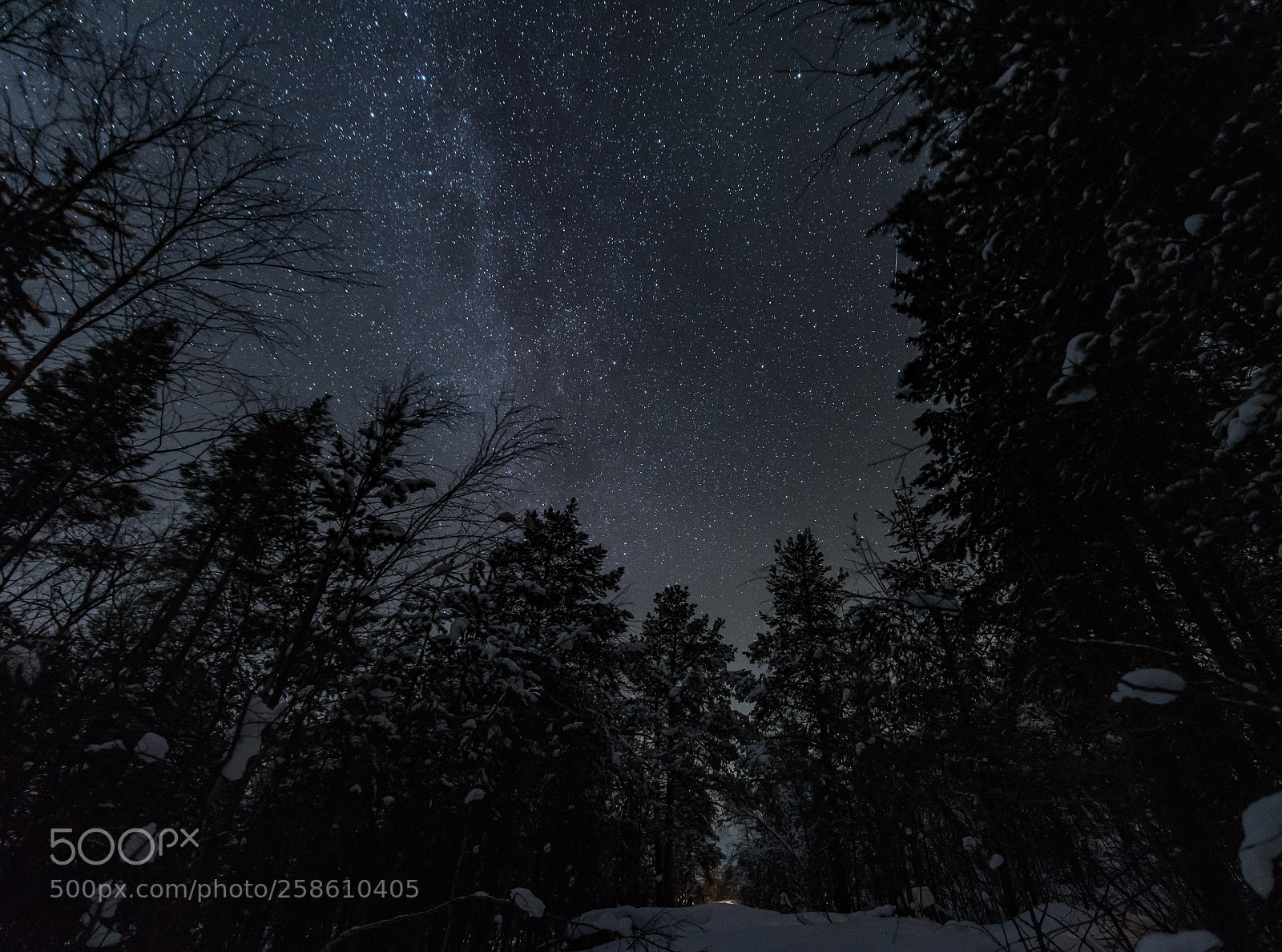 Nikon D750 sample photo. Wild stars photography