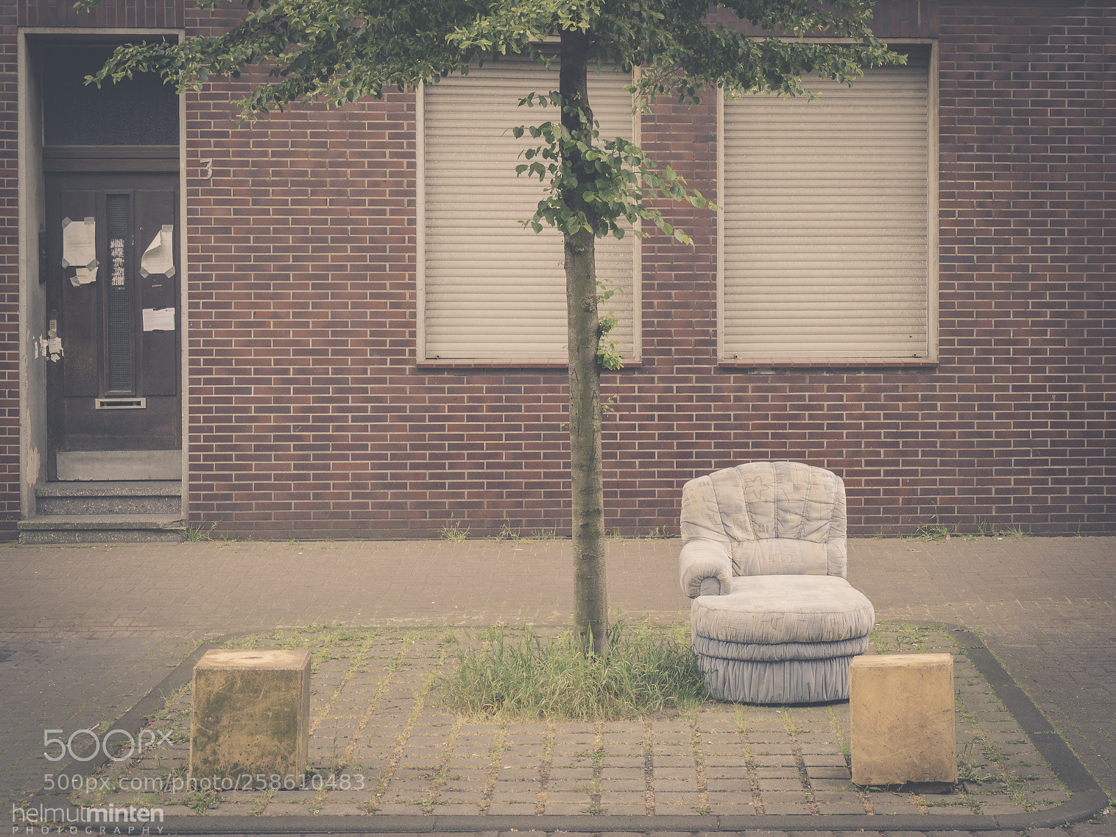 Olympus OM-D E-M1 Mark II sample photo. Stressed out! photography