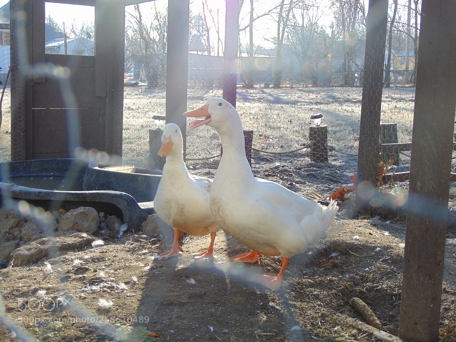 Sony Cyber-shot DSC-H300 sample photo. 019.jpg photography