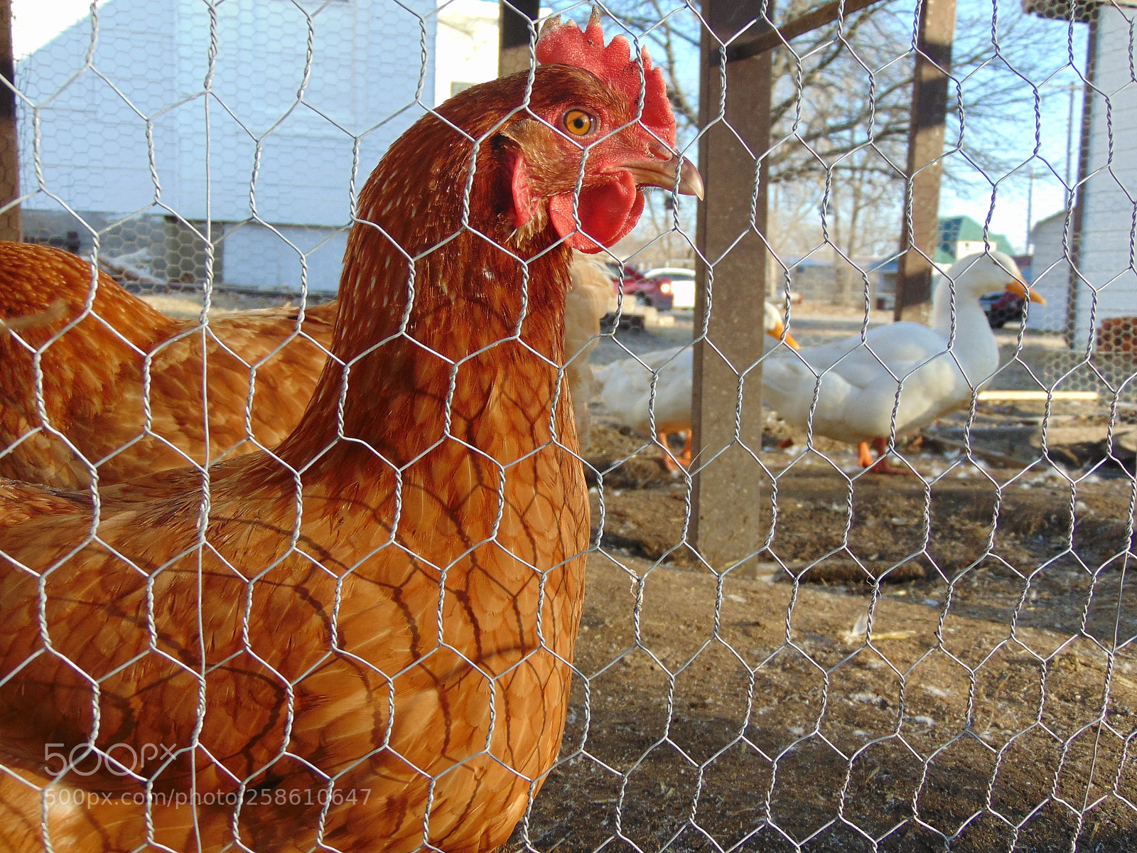 Sony Cyber-shot DSC-H300 sample photo. 030.jpg photography