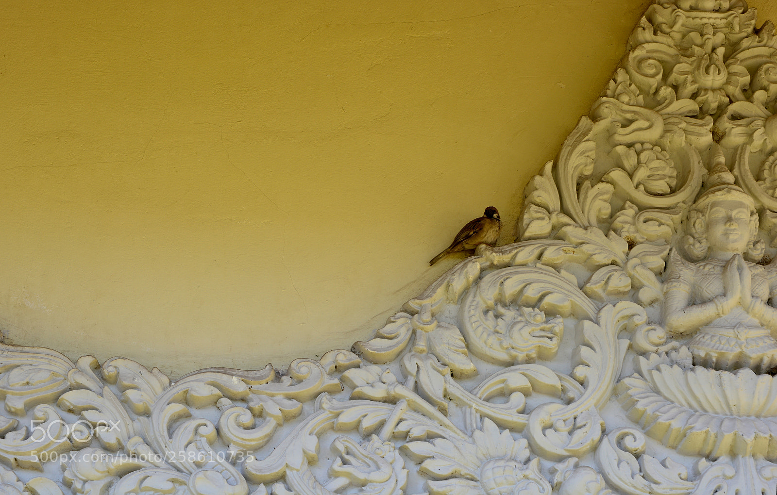 Nikon D5200 sample photo. Bird in yellow photography