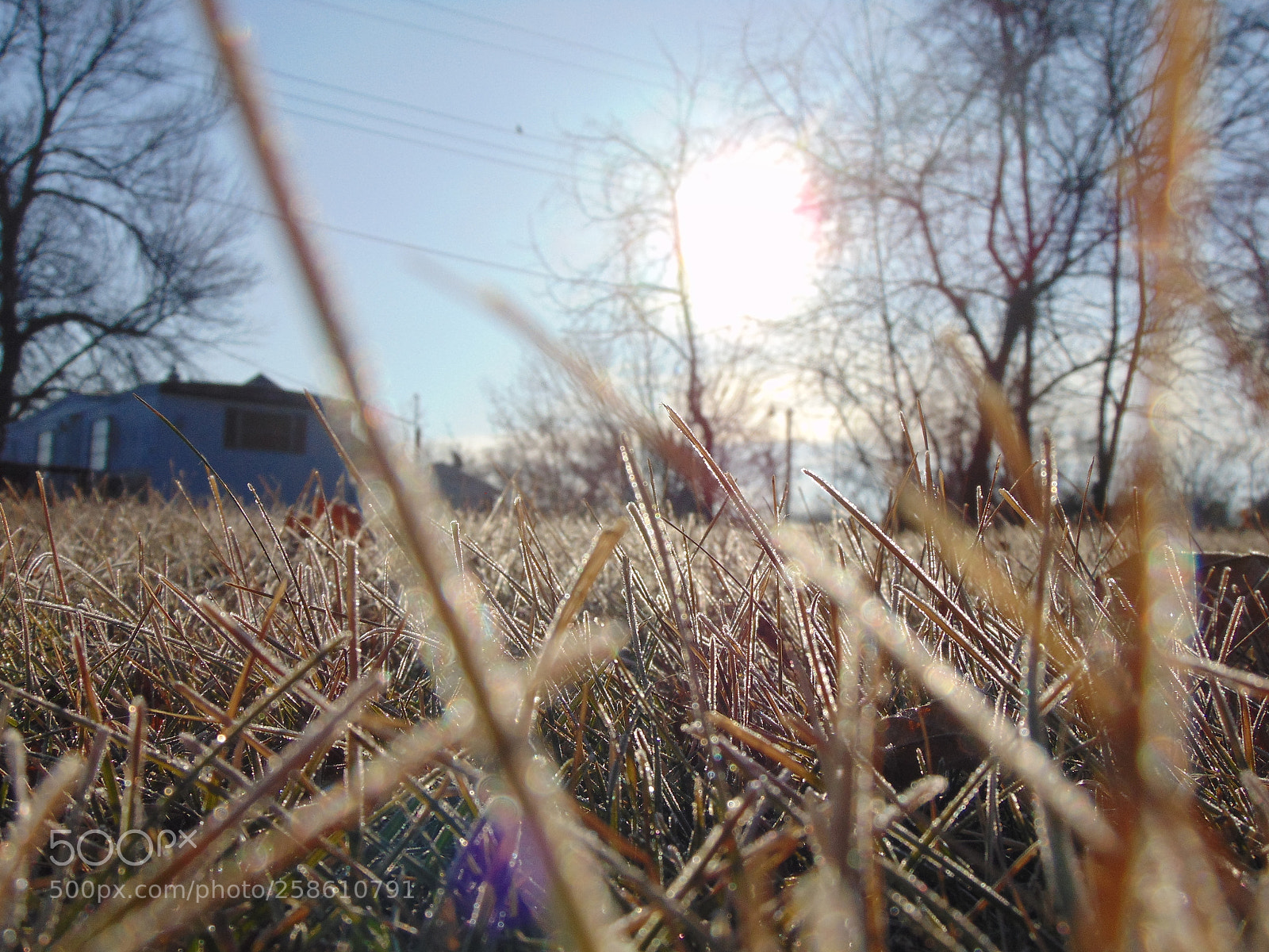 Sony Cyber-shot DSC-H300 sample photo. 039.jpg photography