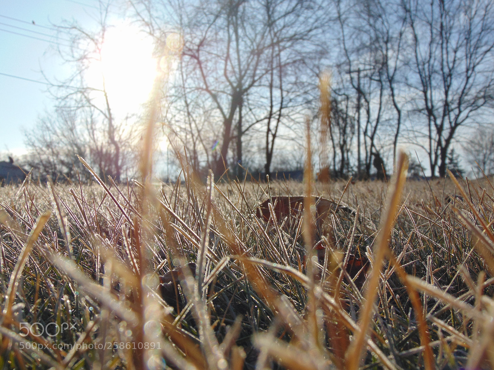 Sony Cyber-shot DSC-H300 sample photo. 040.jpg photography