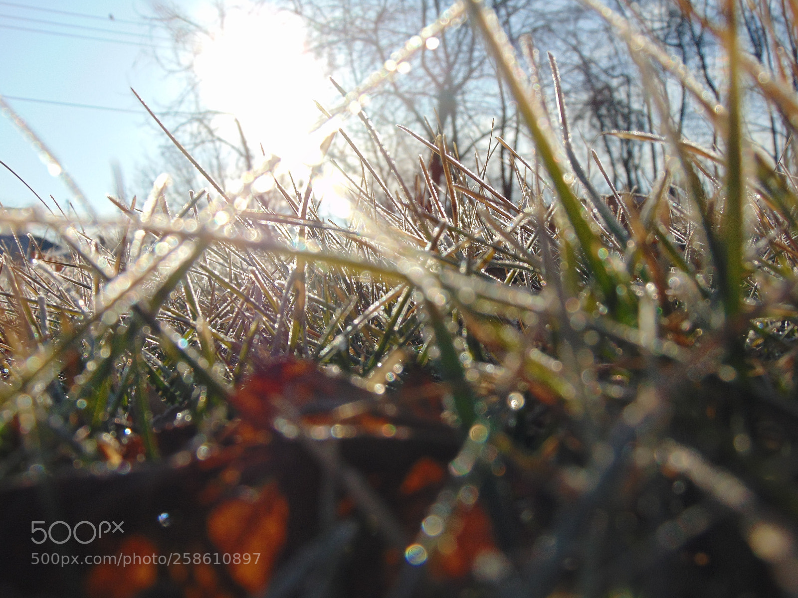 Sony Cyber-shot DSC-H300 sample photo. 042.jpg photography