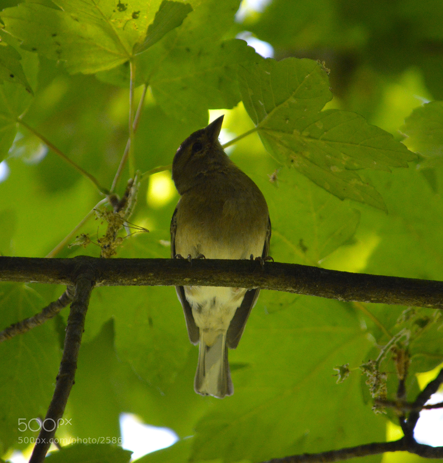 Nikon D3200 sample photo. Untitled photography