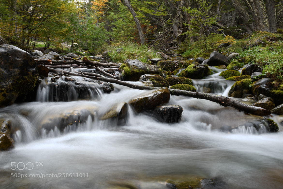Nikon D7500 sample photo. Camino al glaciar martial photography