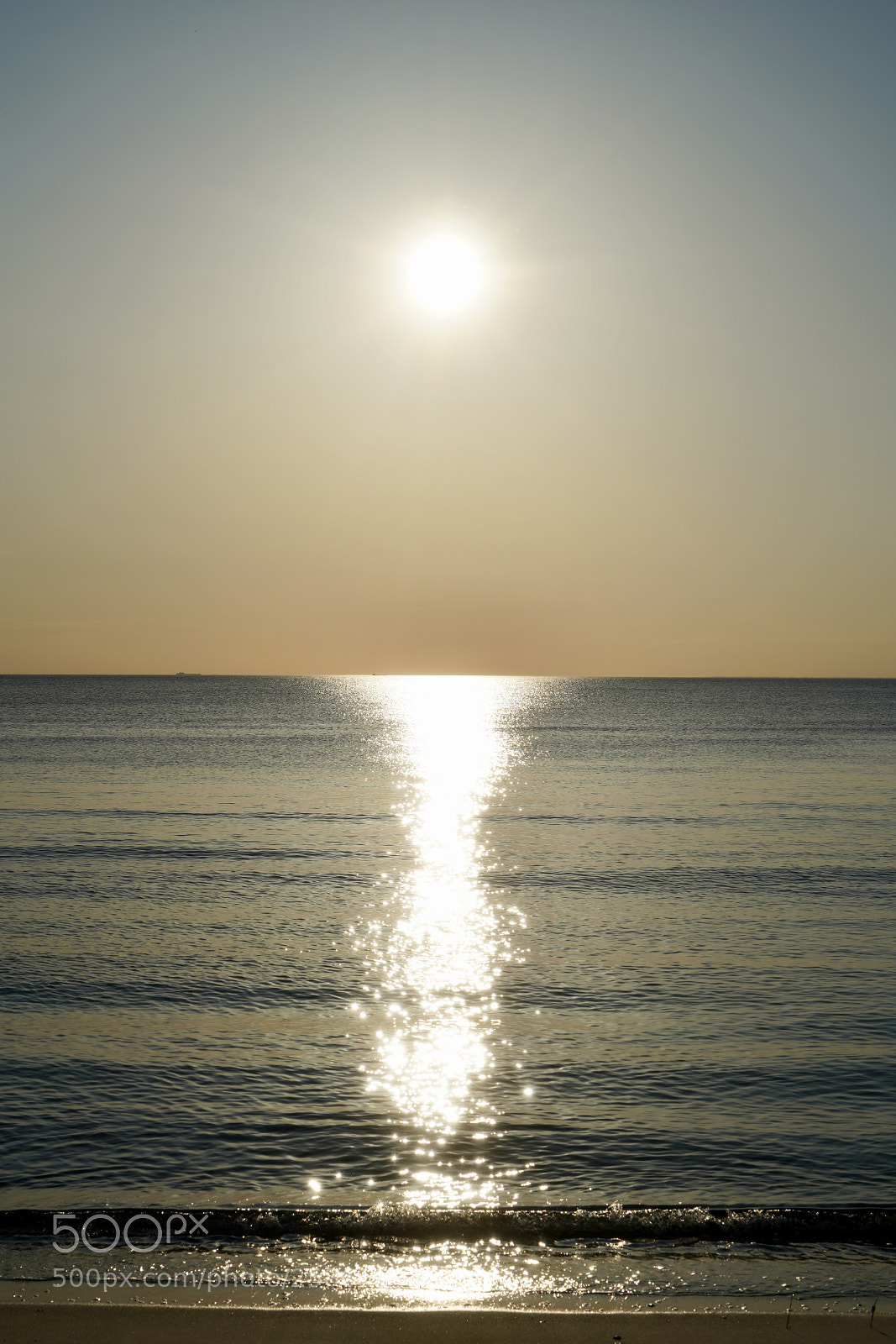 Sony a7R III sample photo. Sun in the evening photography