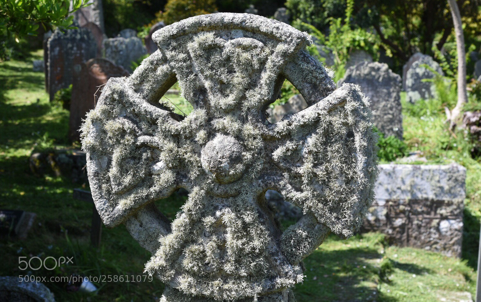 Nikon D750 sample photo. Cross photography