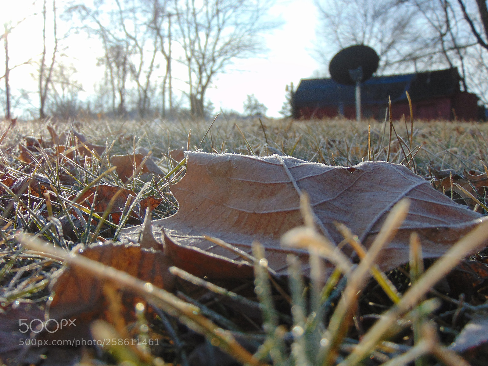 Sony Cyber-shot DSC-H300 sample photo. 049.jpg photography