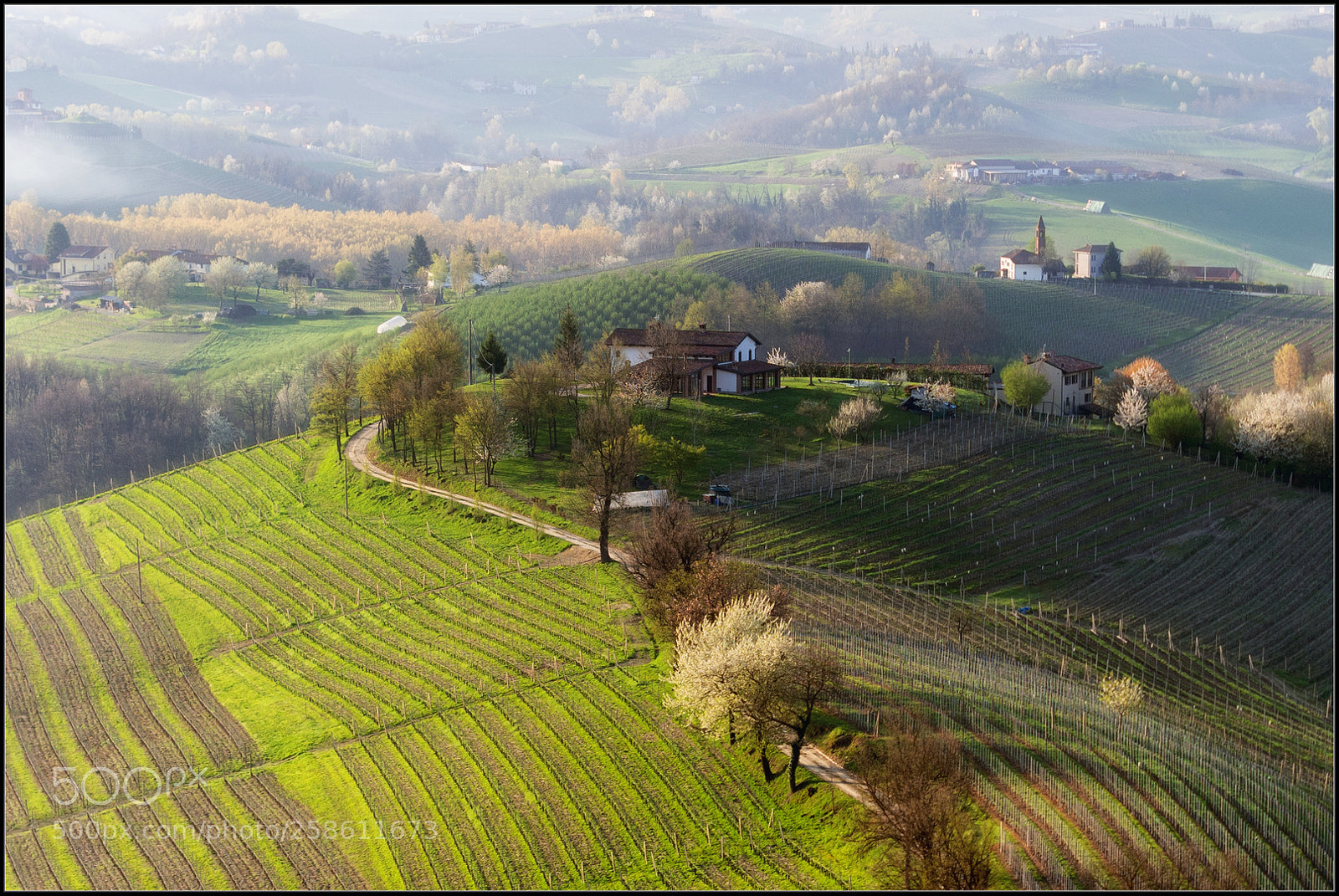 Olympus OM-D E-M10 II sample photo. Langhe photography