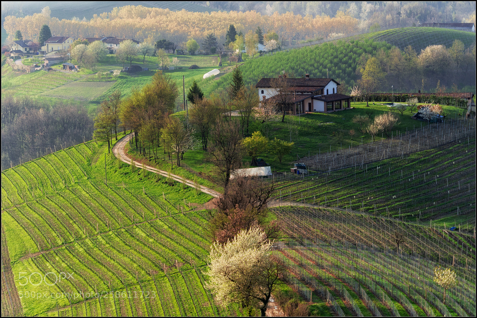 Olympus OM-D E-M10 II sample photo. Langhe photography