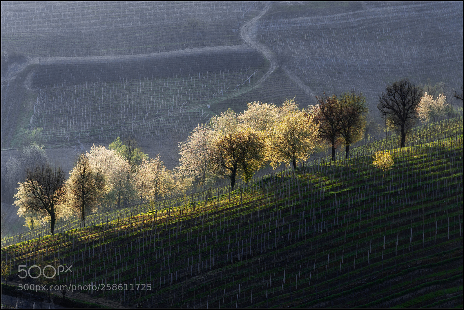 Olympus OM-D E-M10 II sample photo. Langhe photography