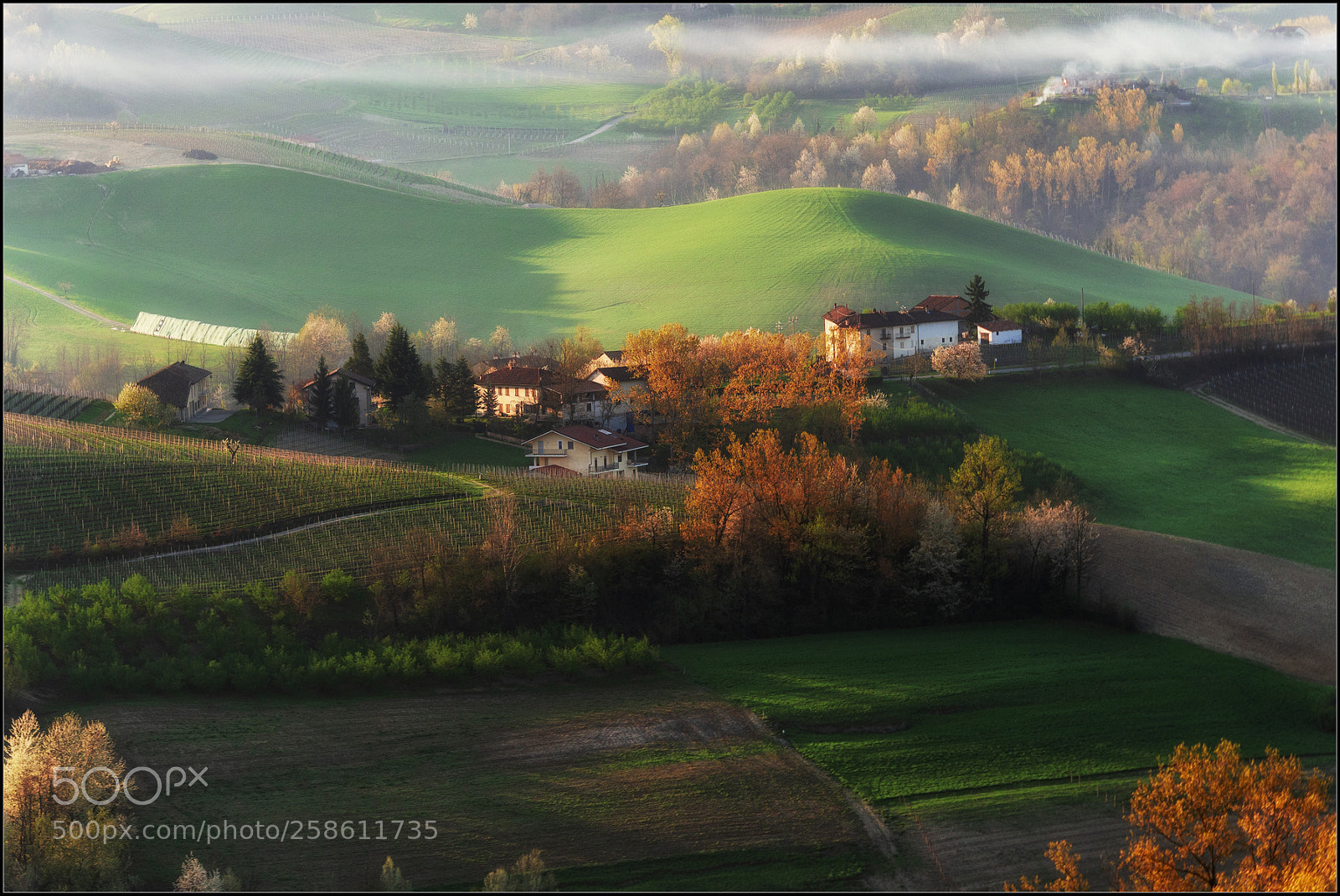 Olympus OM-D E-M10 II sample photo. Langhe photography