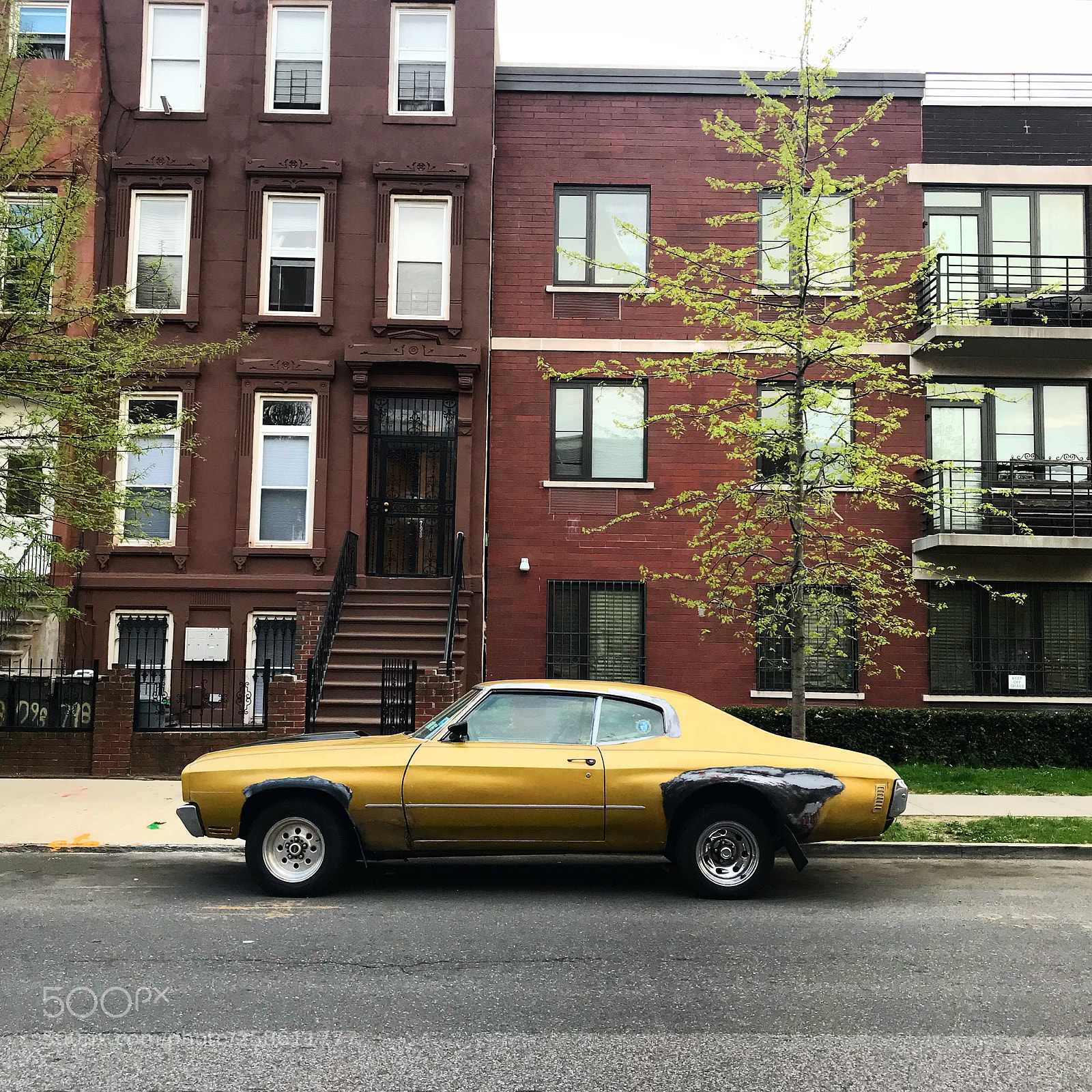 Apple iPhone 7 Plus sample photo. Squarebiz photography