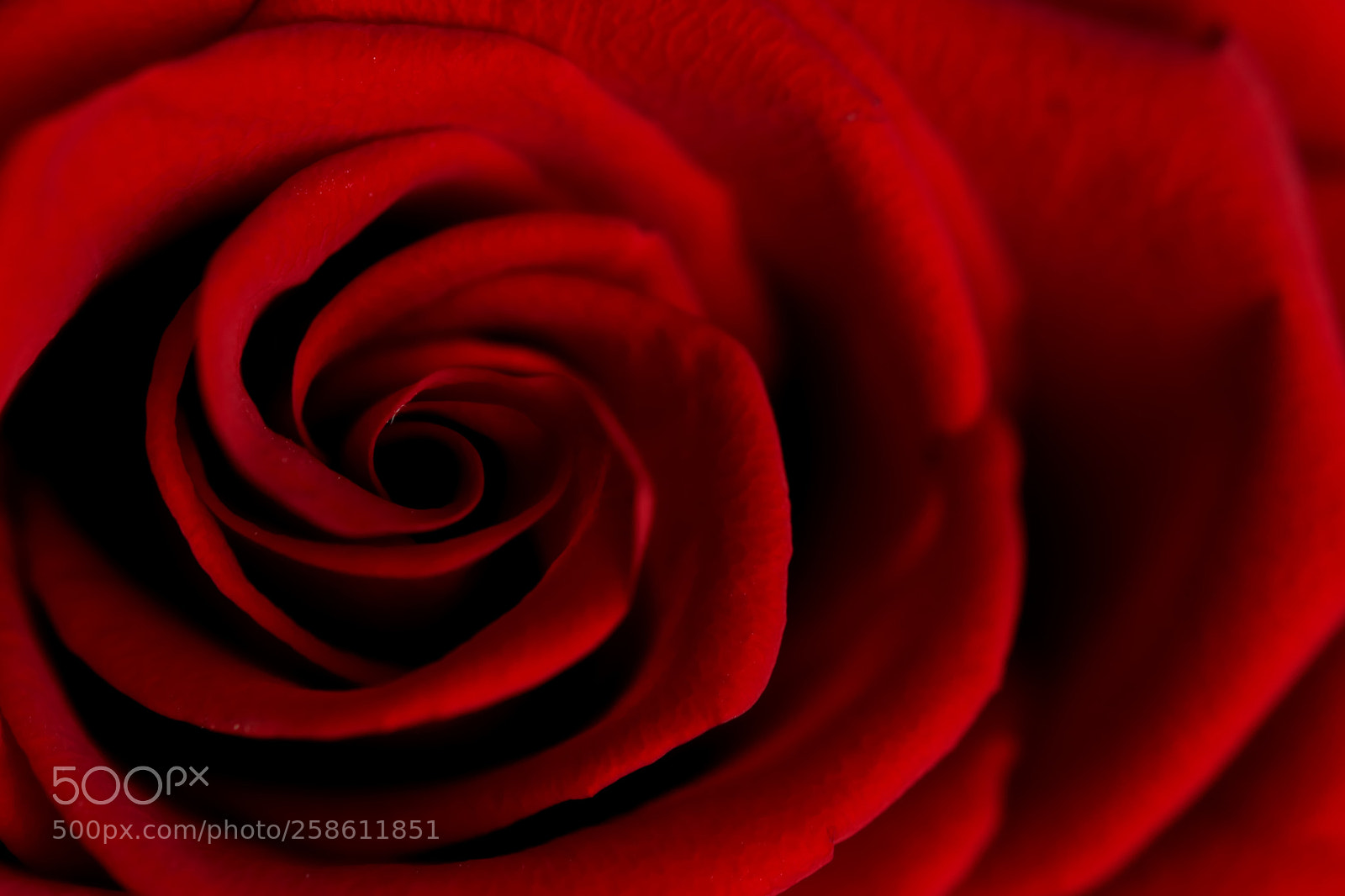 Canon EOS 77D (EOS 9000D / EOS 770D) sample photo. Love symbol photography