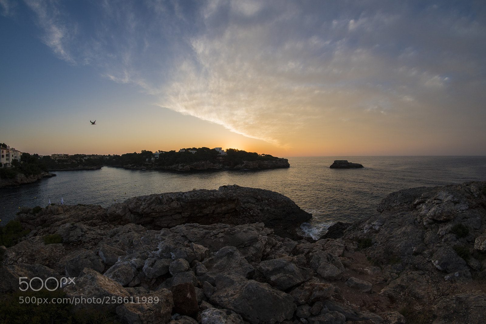 Nikon D850 sample photo. Sunrise at the cliffs photography