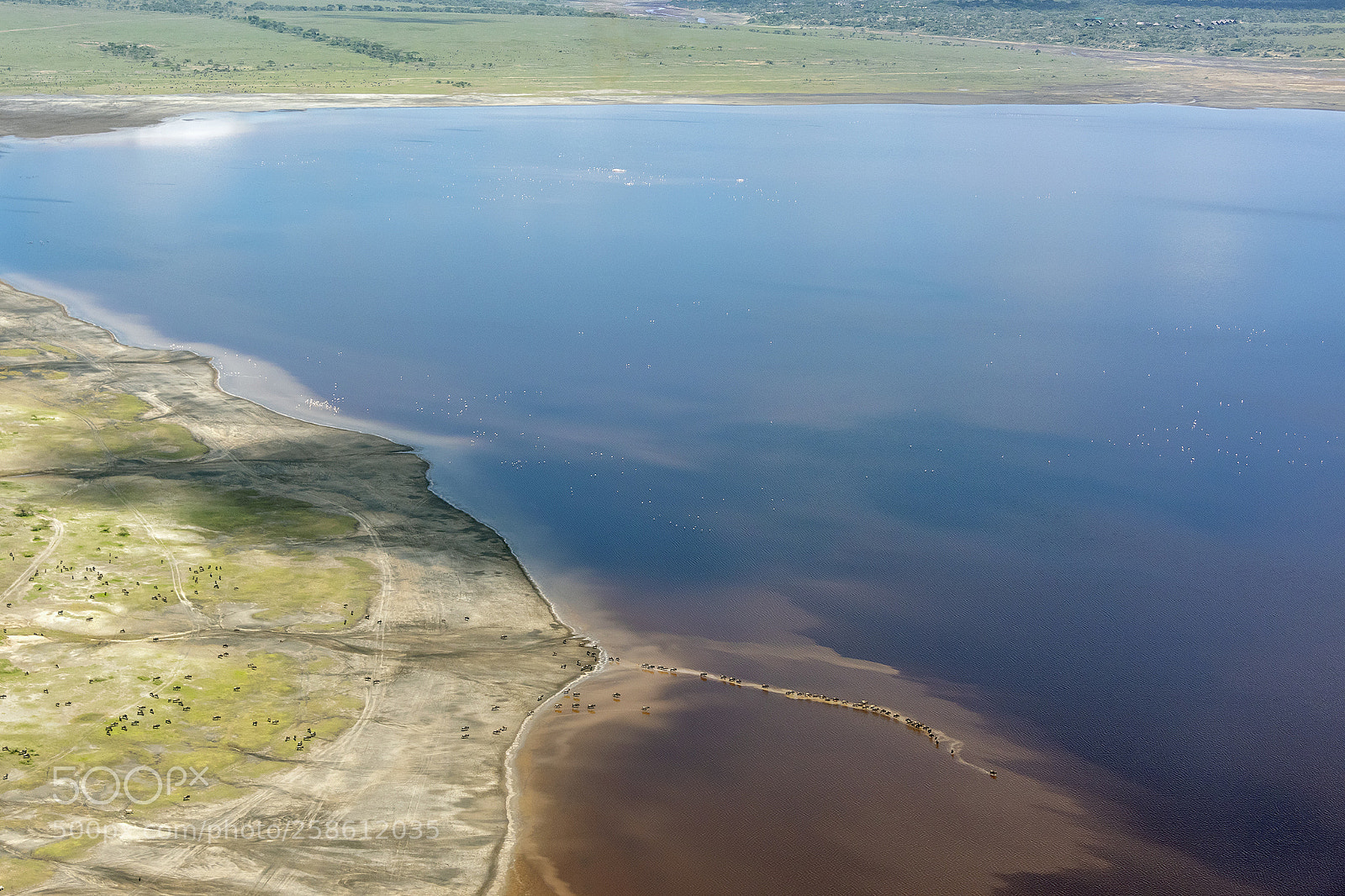 Nikon D810 sample photo. Lake manyara aerial view photography