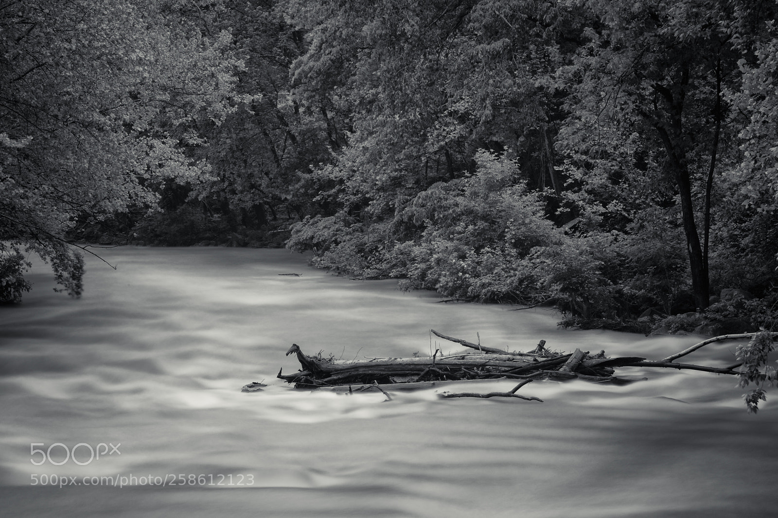 Fujifilm X-Pro2 sample photo. Patapsco bend. photography