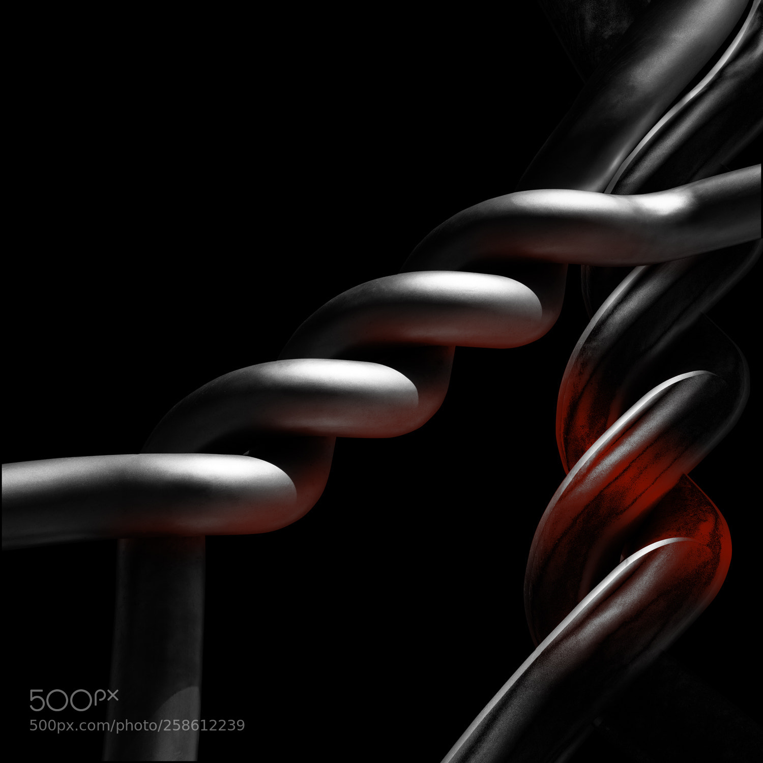 Nikon D5300 sample photo. Twisted duo photography