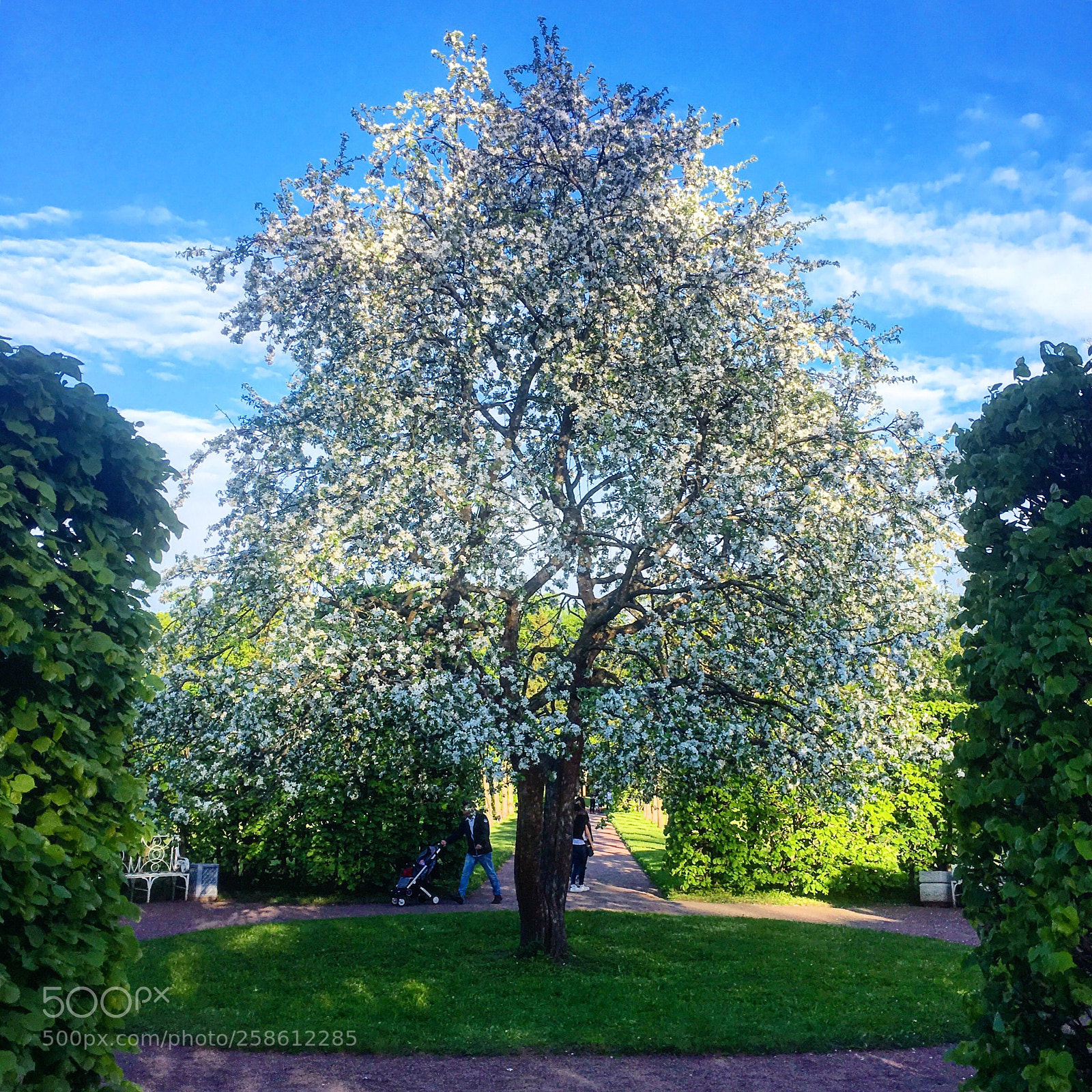 Apple iPhone SE sample photo. Екатерининский парк  photography
